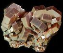 Large, Deep Red Vanadinite Crystals - Morocco #42155-1